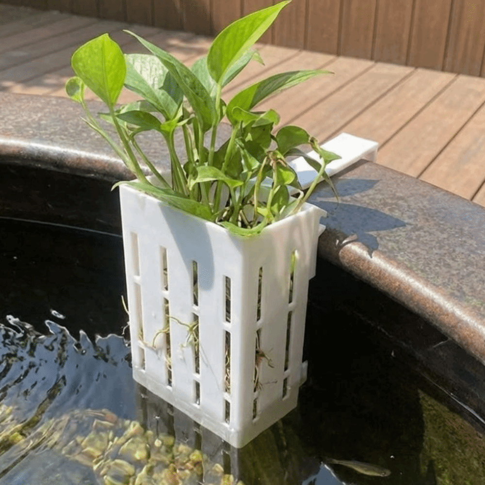 Wall-Mounted Aquarium Plant Ba - Aquarium Planted Wall recension och pris