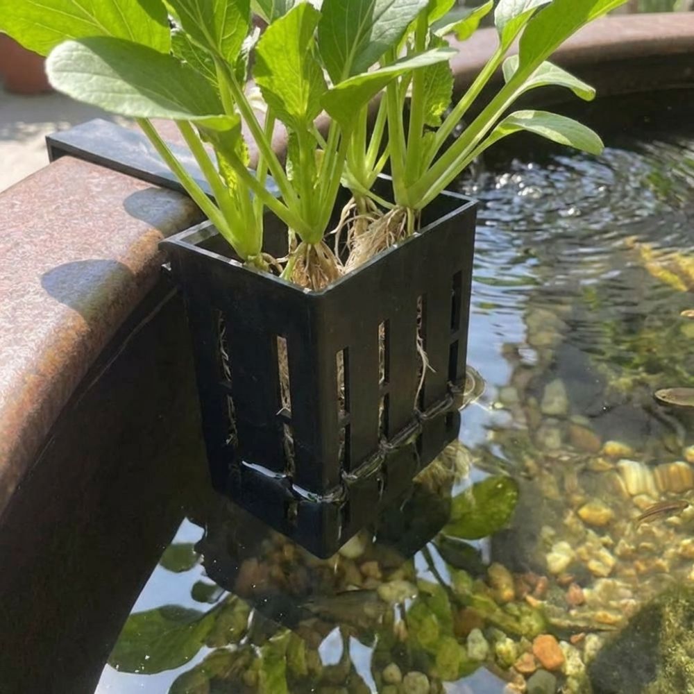 Wall-Mounted Aquarium Plant Ba - Aquarium Planted Wall recension och pris