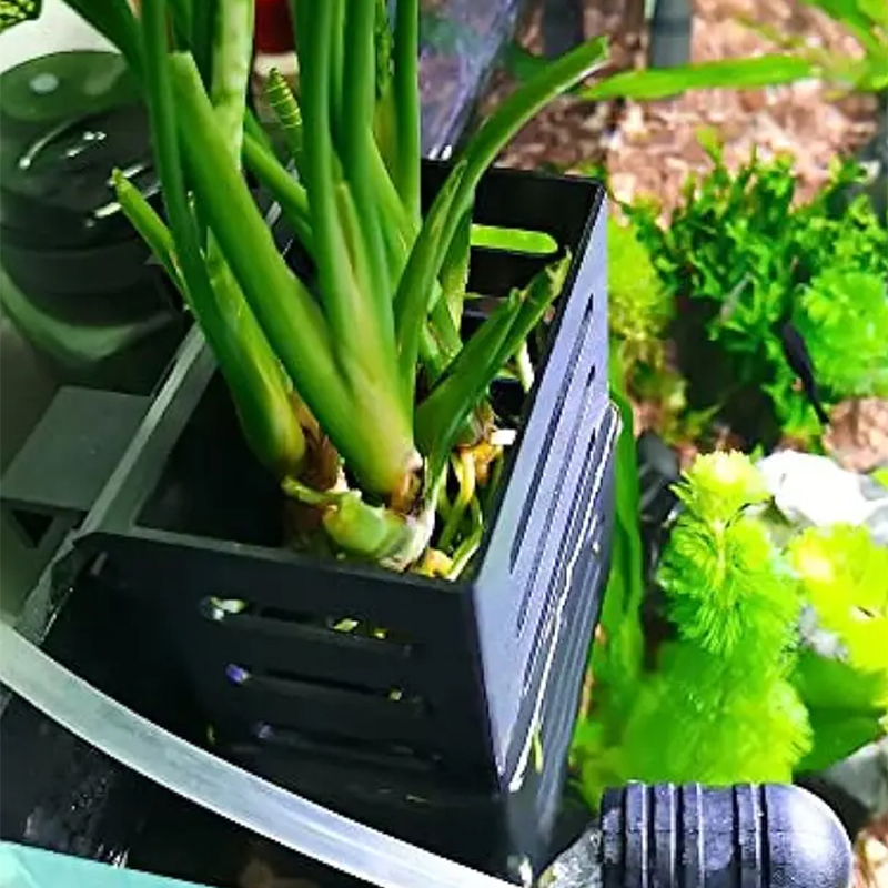 Pet Fish Tank Decorations Aqua - Aquarium Plant Rings recension och pris