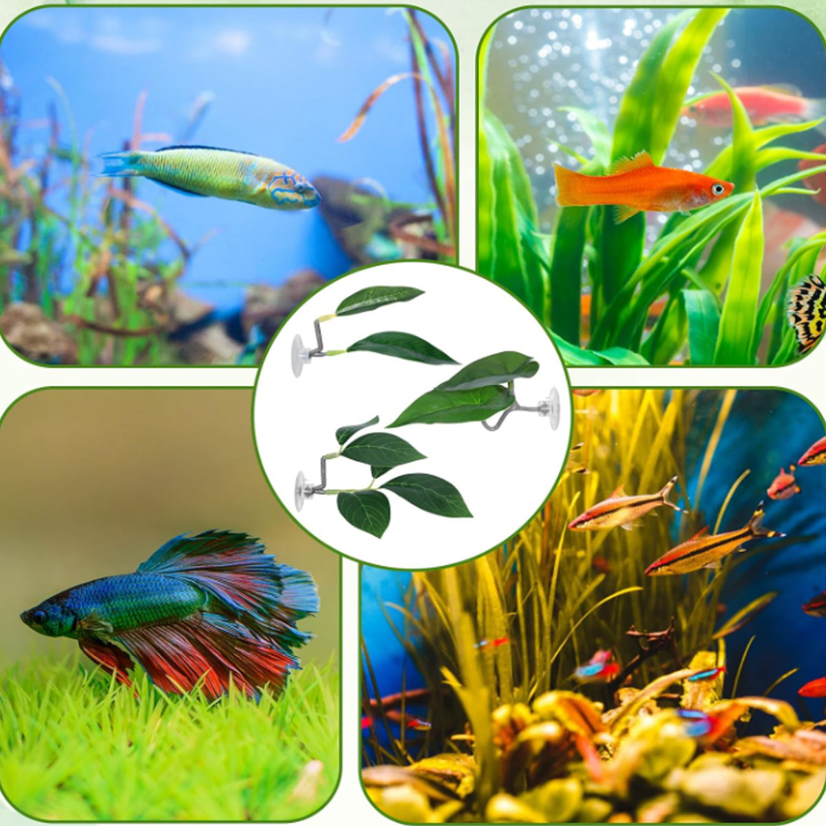 1 PC Betta Fish Hammock Soft A - Planted Aquarium Betta recension och pris