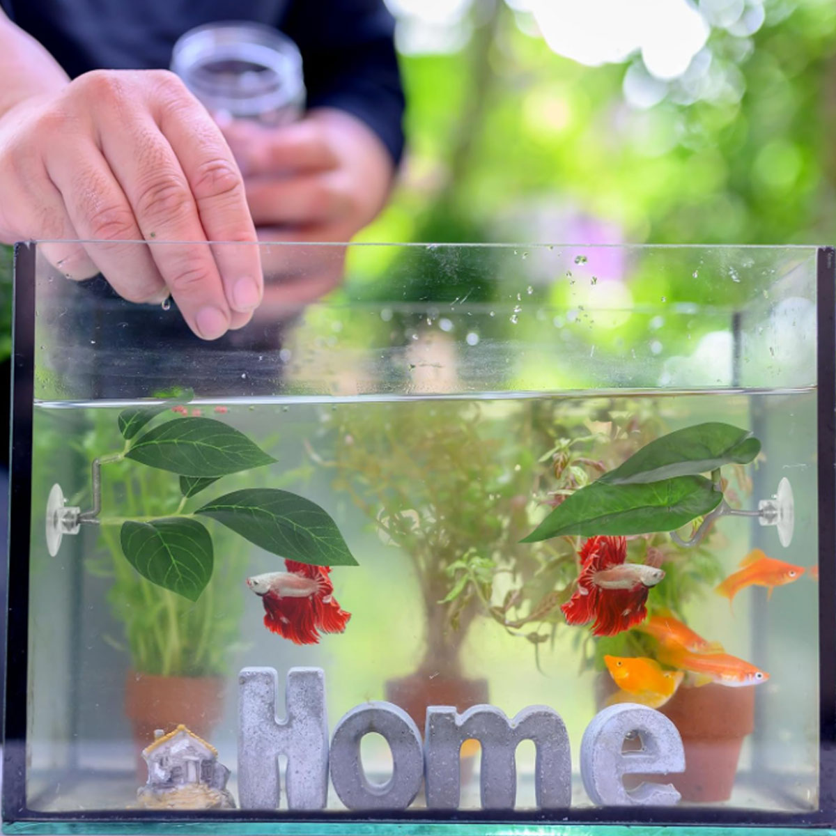 1 PC Betta Fish Hammock Soft A - Planted Aquarium Betta recension och pris