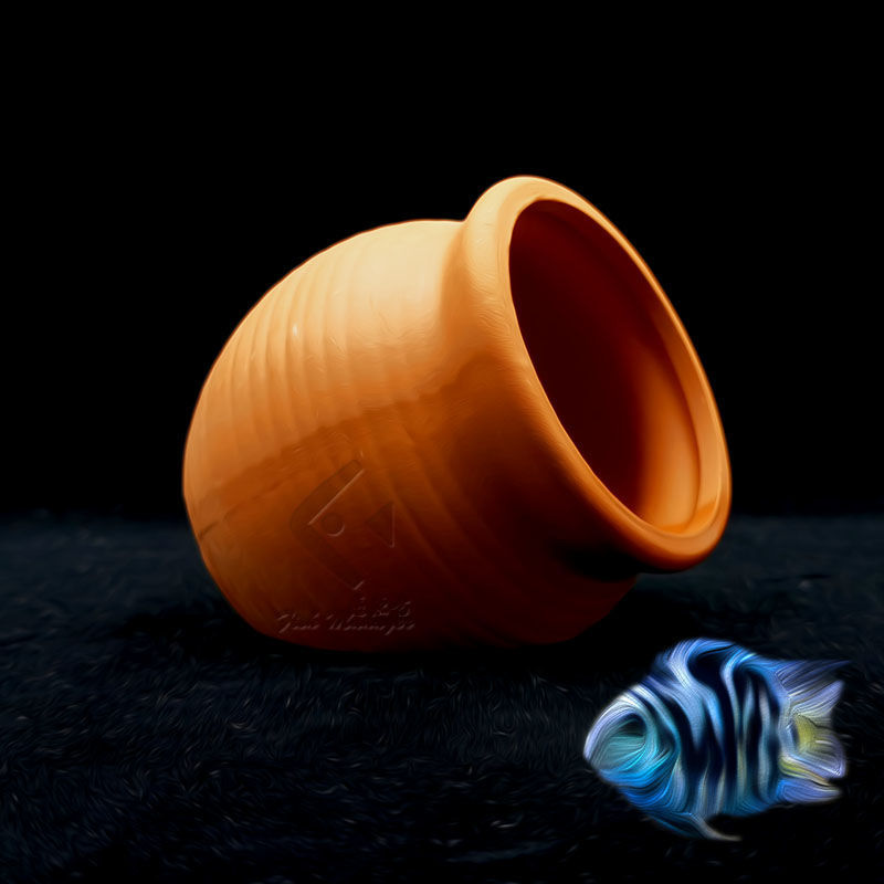 Aquarium Mini Ceramic Tank Fis - Aquarium Plant Rings recension och pris