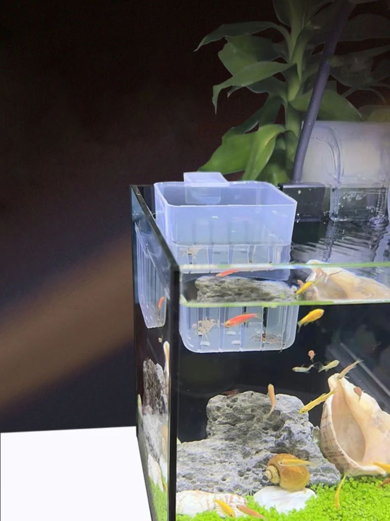 Aquarium Transparent Hydroponi - Aquarium Planted Wall recension och pris