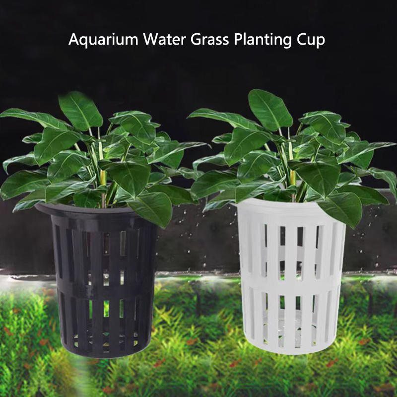 1/3Pcs Aquarium Plant Basket W - Aquarium Planted Wall recension och pris
