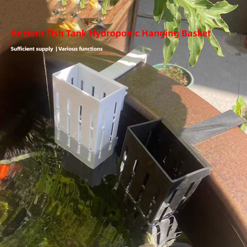 1/3Pcs Aquarium Plant Basket W - Aquarium Planted Wall recension och pris