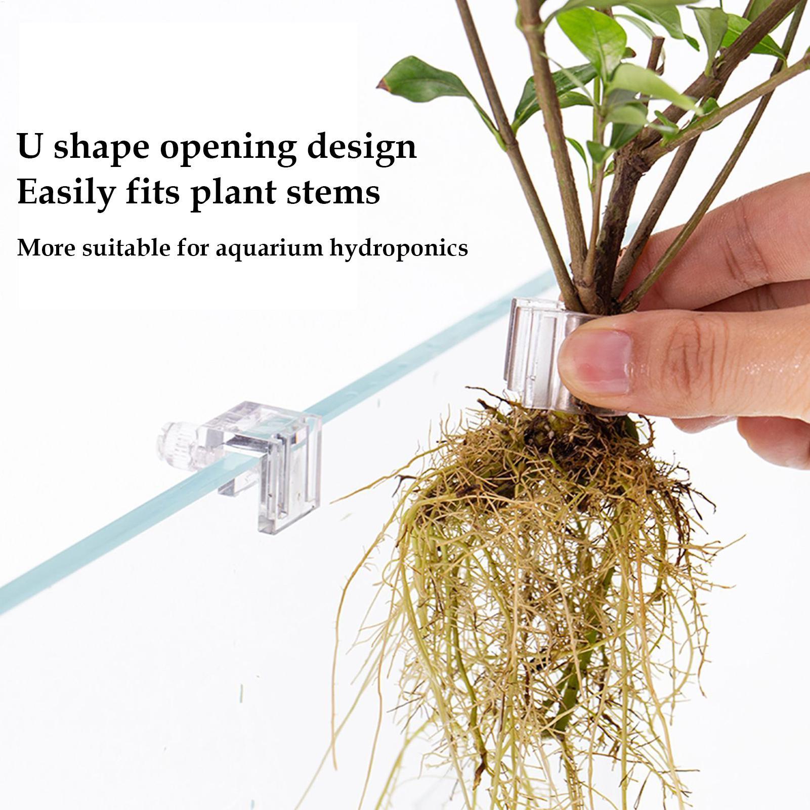 Aquarium Plant Basket Transpar - Aquarium Plant Rings recension och pris