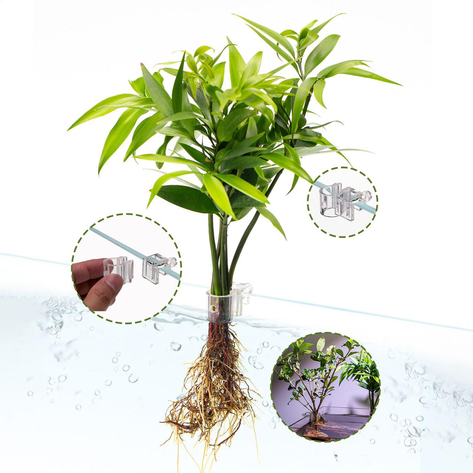 Aquarium Plant Basket Transpar - Aquarium Plant Rings recension och pris