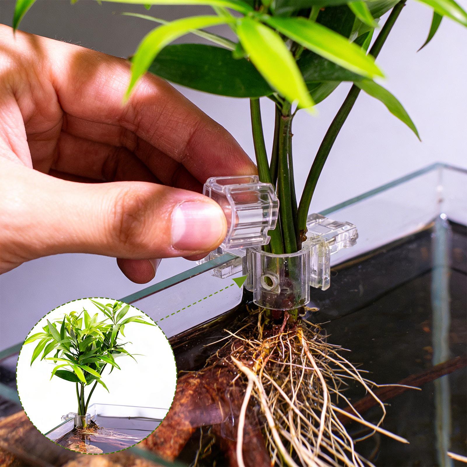 Aquarium Plant Basket Transpar - Aquarium Plant Rings recension och pris