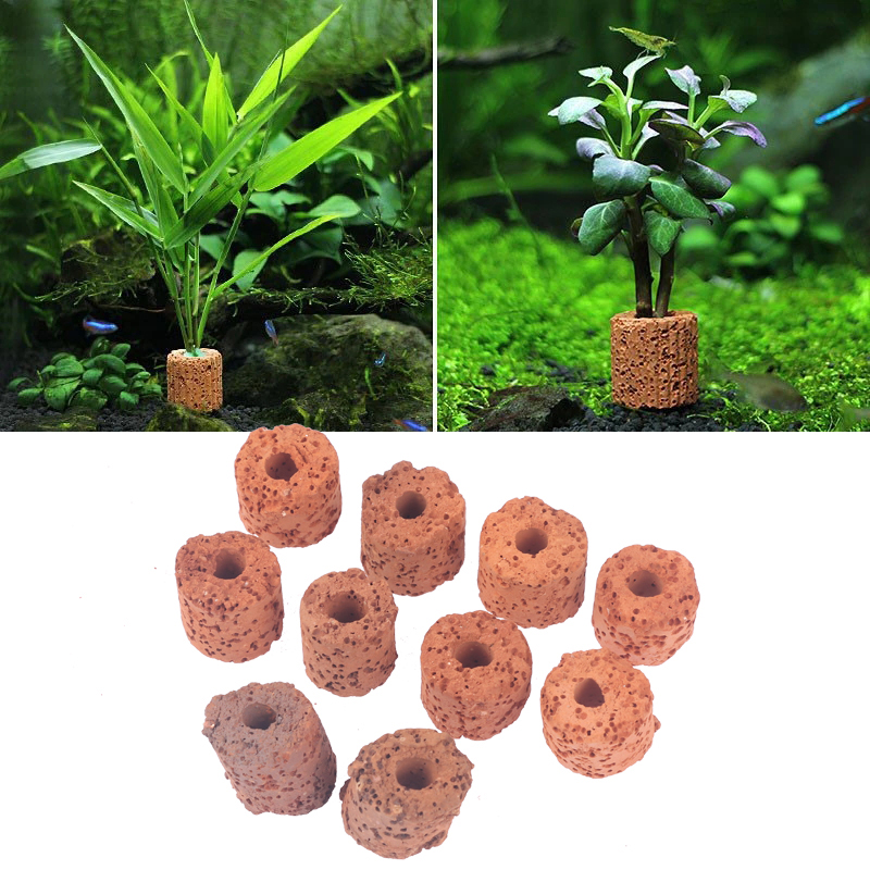 ^10Pcs Plant Ring Aquarium Fix - Aquarium Plant Rings recension och pris