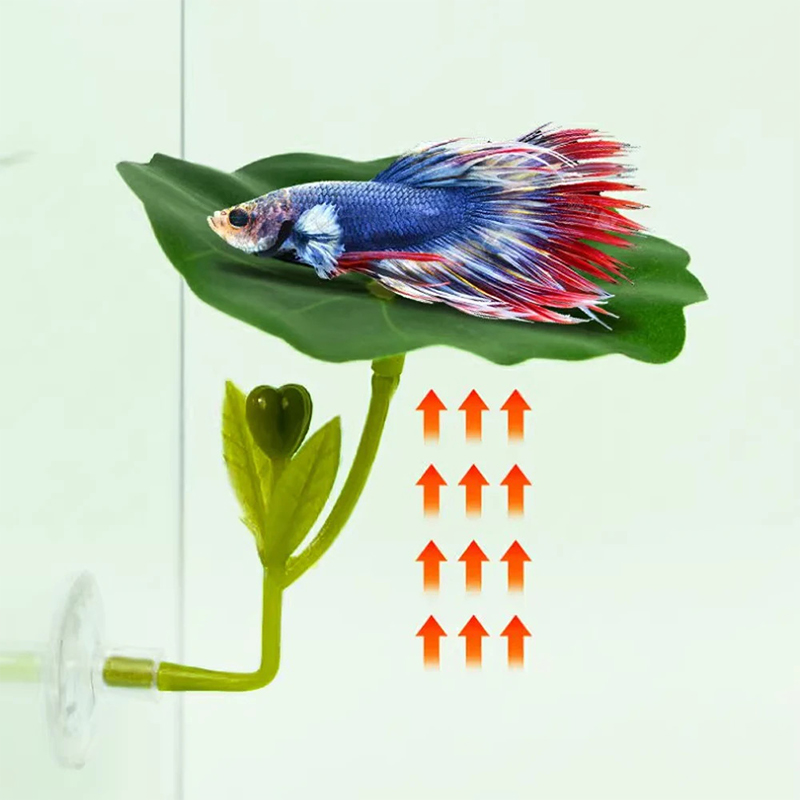 1Pc Green Leaf Hammock For Bet - Planted Aquarium Betta recension och pris