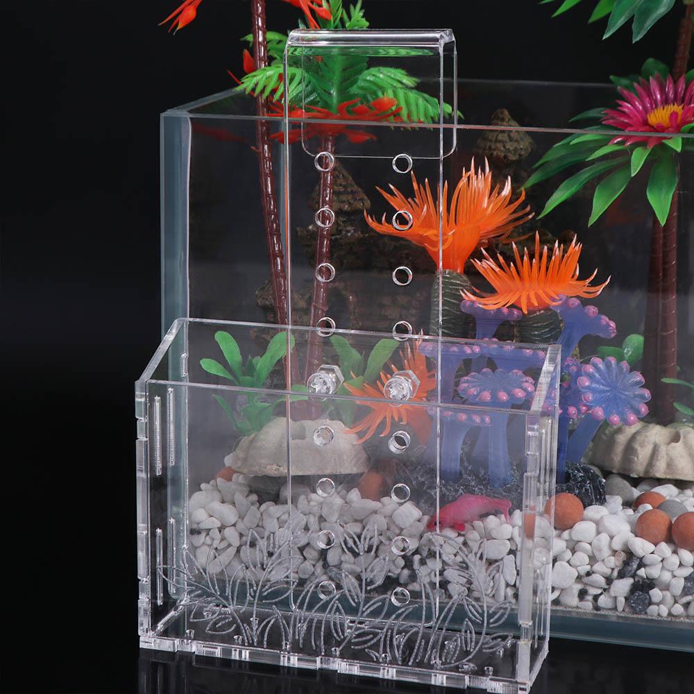 Wall Hanging Aquarium Plants C - Aquarium Planted Wall recension och pris