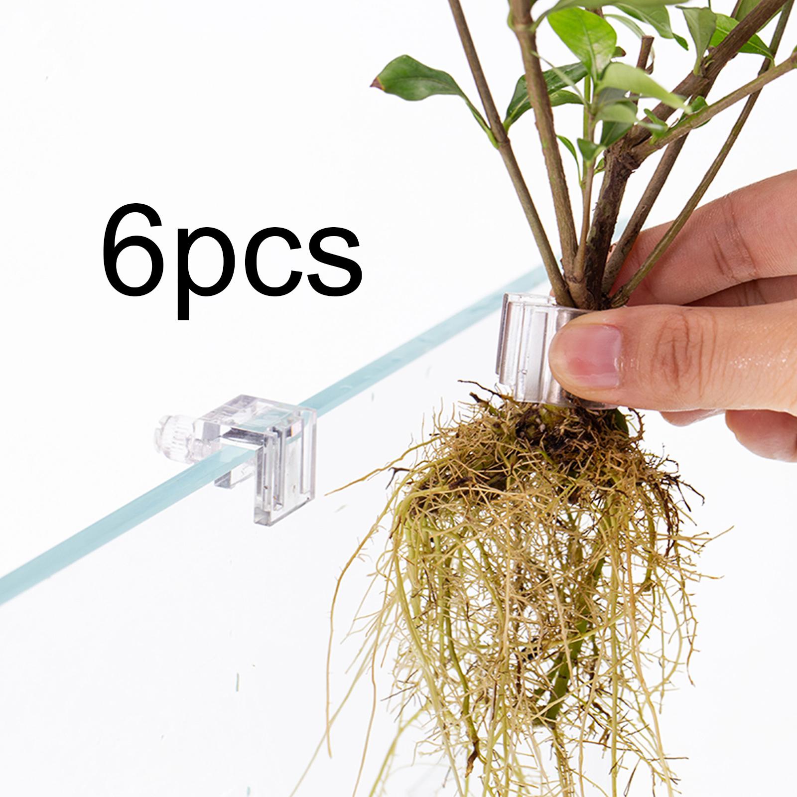 Durable Transparent Plant Hold - Aquarium Planted Wall recension och pris