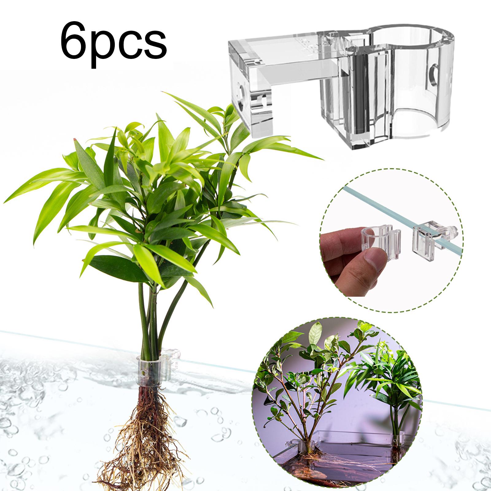 Durable Transparent Plant Hold - Aquarium Planted Wall recension och pris