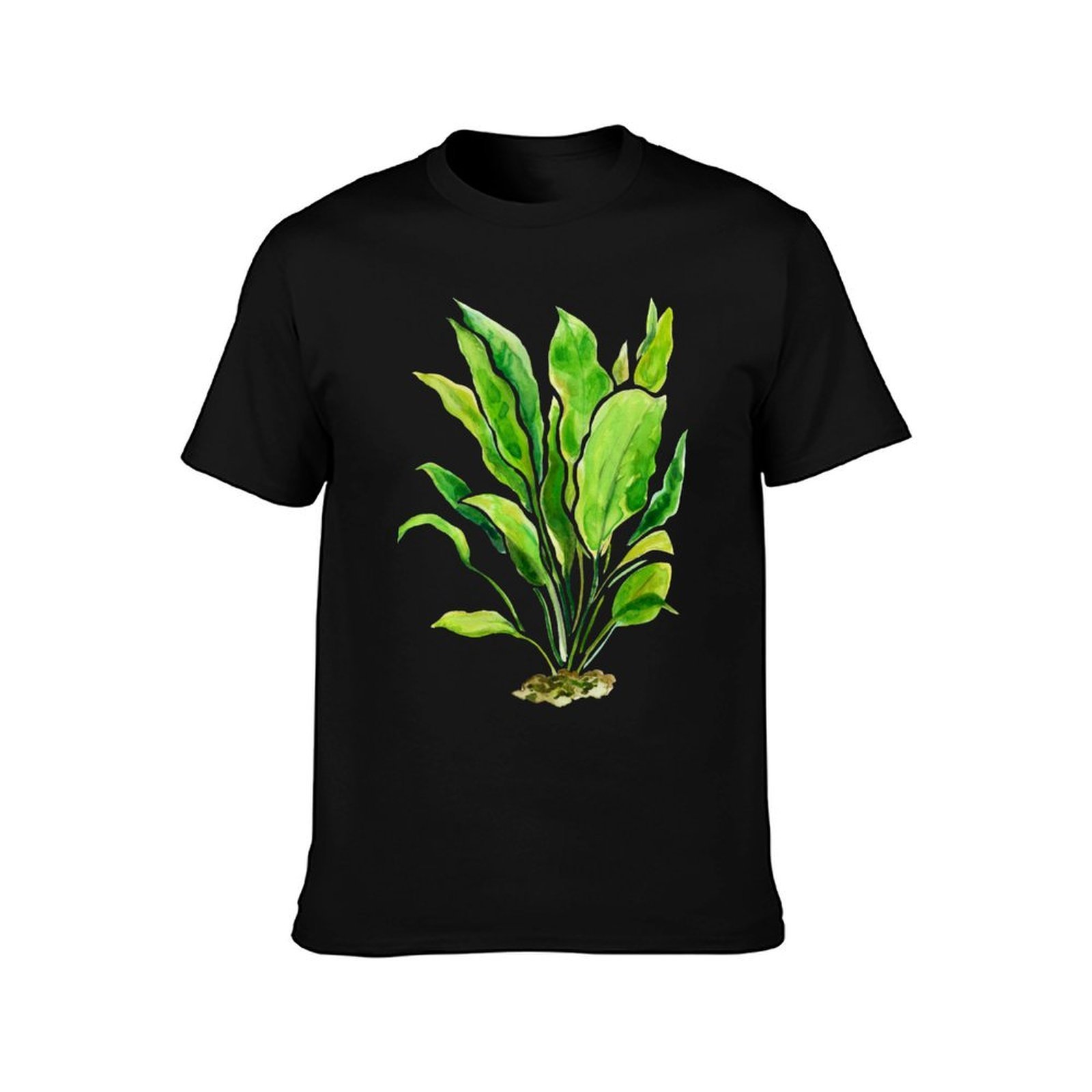 Aquarium Plants Series Amazon  - Planted Aquarium Basics recension och pris