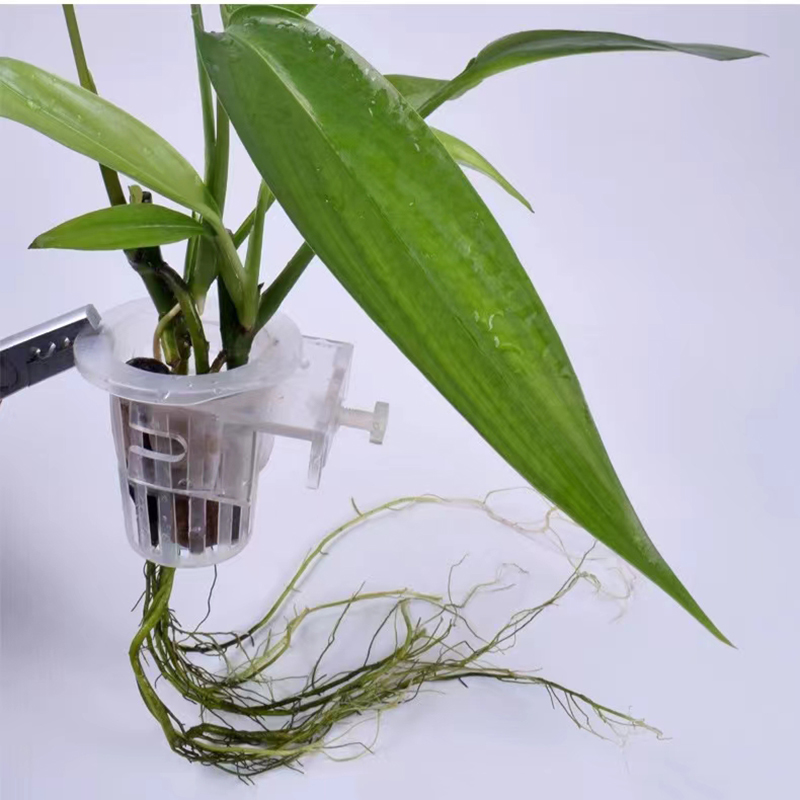 Aquarium Planting Basket Hydro - Aquarium Planted Wall recension och pris
