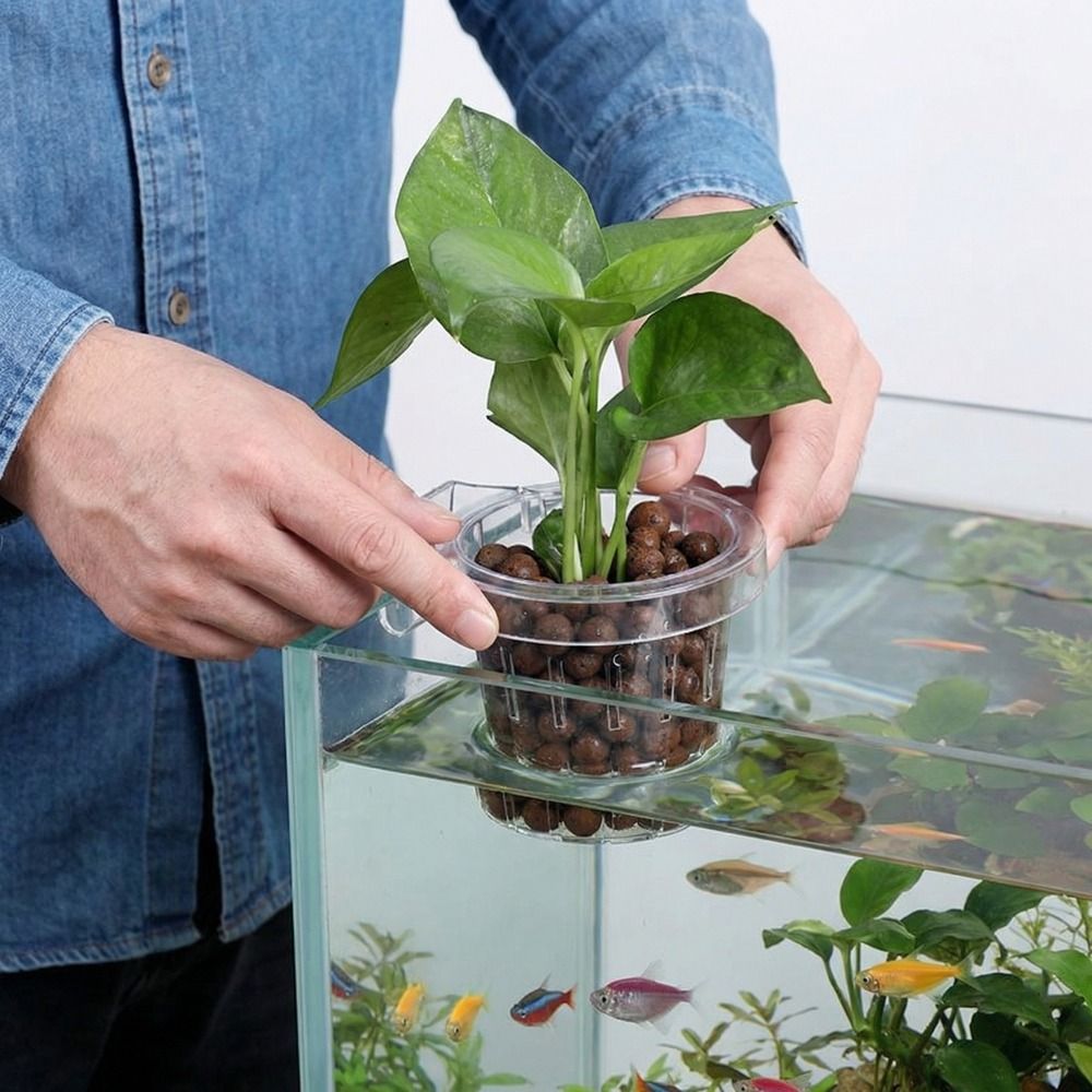 Transparent Fish Tank Grass Cu - Aquarium Planted Wall recension och pris