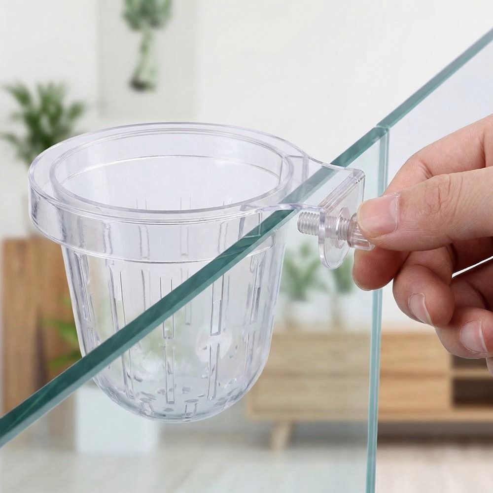 Transparent Fish Tank Grass Cu - Aquarium Planted Wall recension och pris