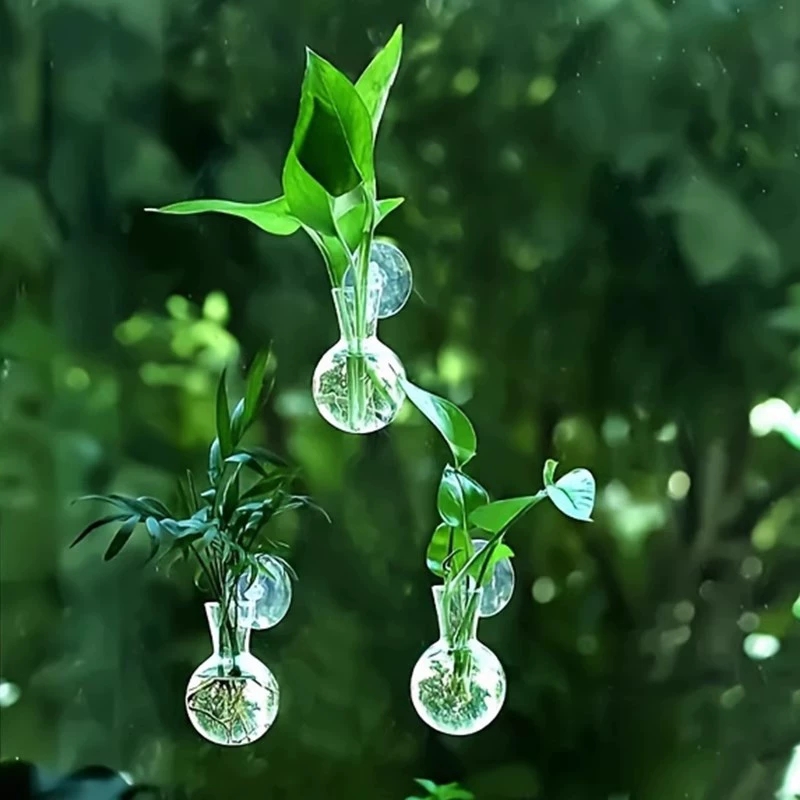 Creative Semi Circular Class W - Aquarium Planted Wall recension och pris