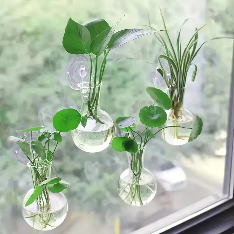 Creative Semi Circular Class W - Aquarium Planted Wall recension och pris