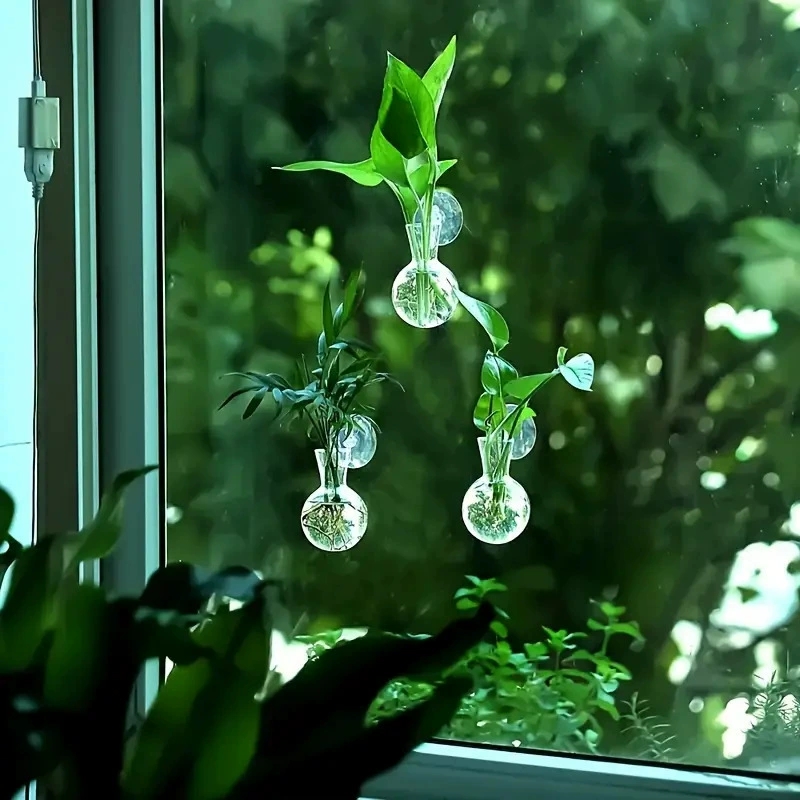 Creative Semi Circular Class W - Aquarium Planted Wall recension och pris