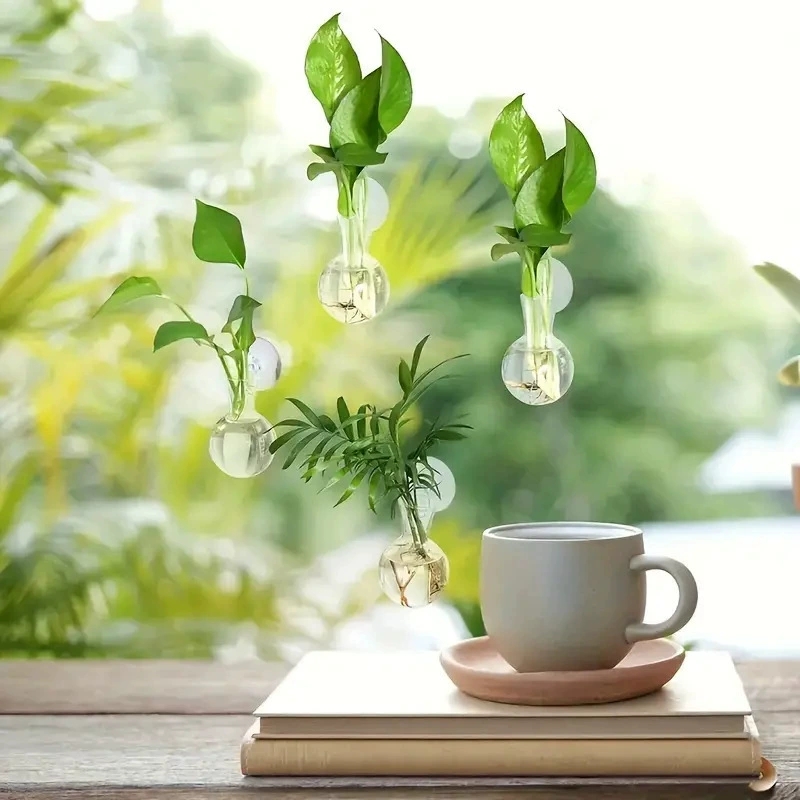 Creative Semi Circular Class W - Aquarium Planted Wall recension och pris